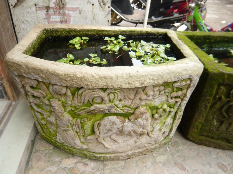 P1050417.JPG