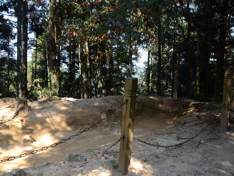 PhotoCap_377.jpg