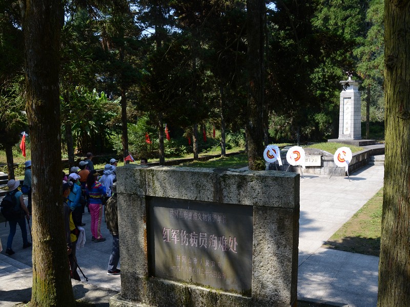 PhotoCap_294.jpg