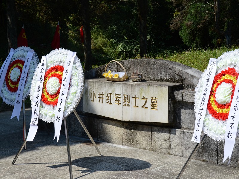 PhotoCap_296.jpg