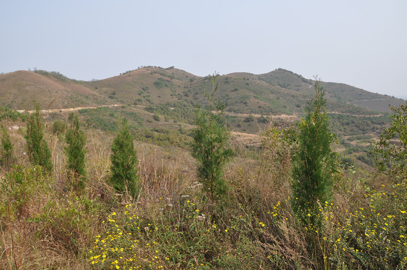 那是我们下山的路.jpg