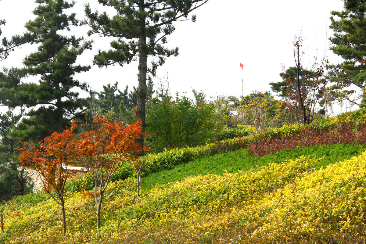 10月13日大南山 065.jpg
