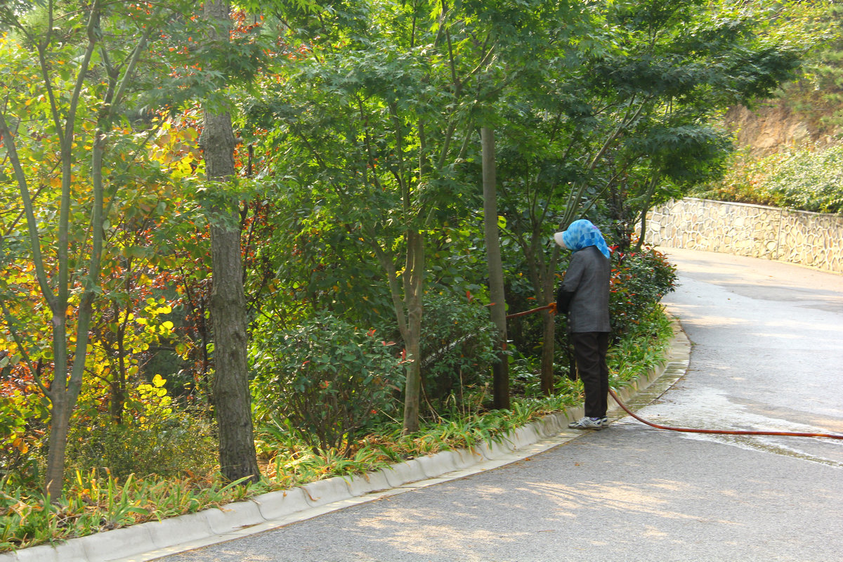 10月13日大南山 058.jpg