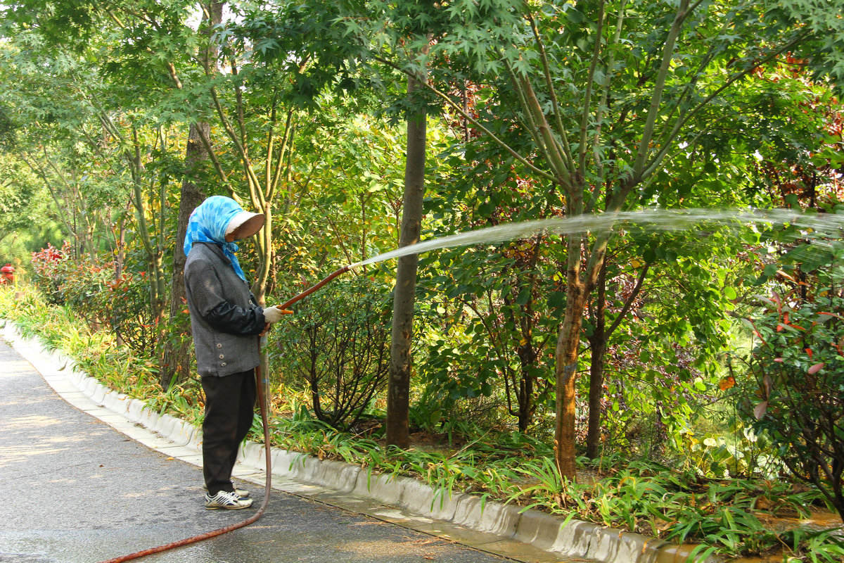 10月13日大南山 060.jpg