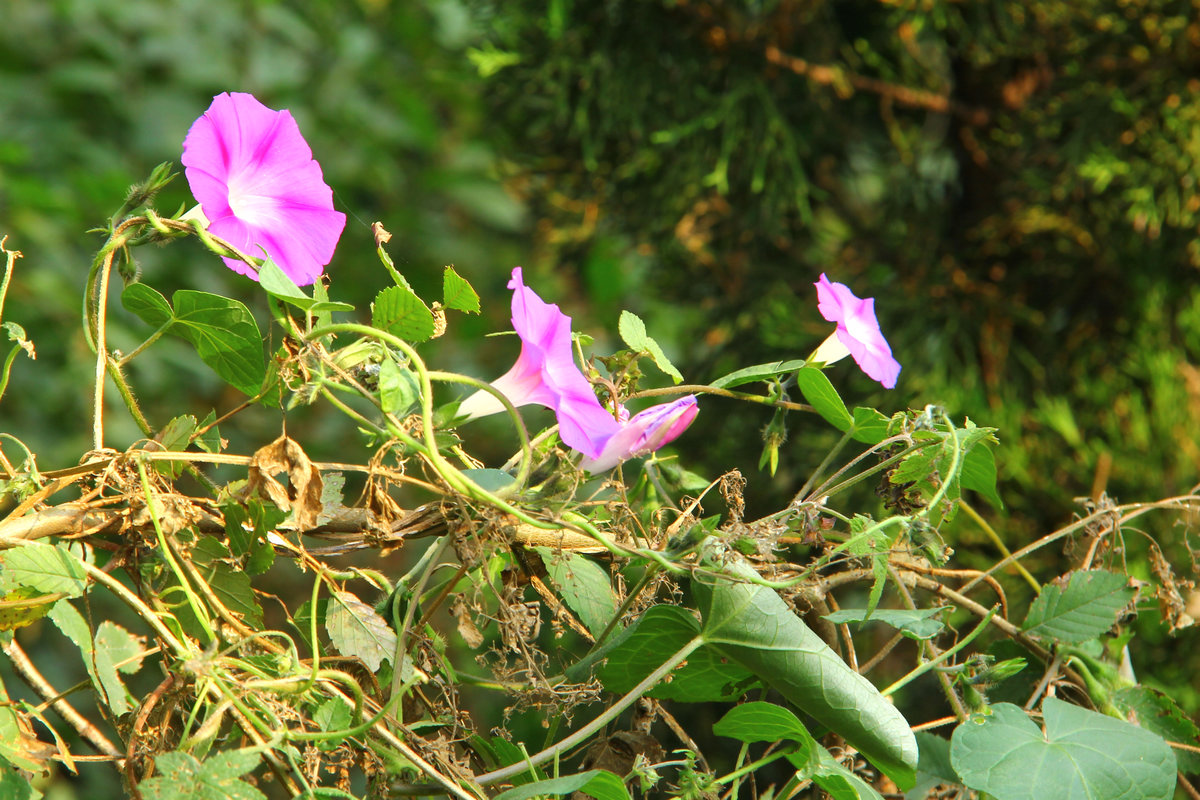 10月13日大南山 152.jpg