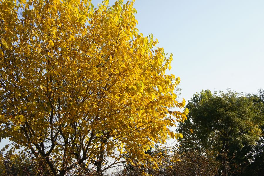 DSC03336.JPG