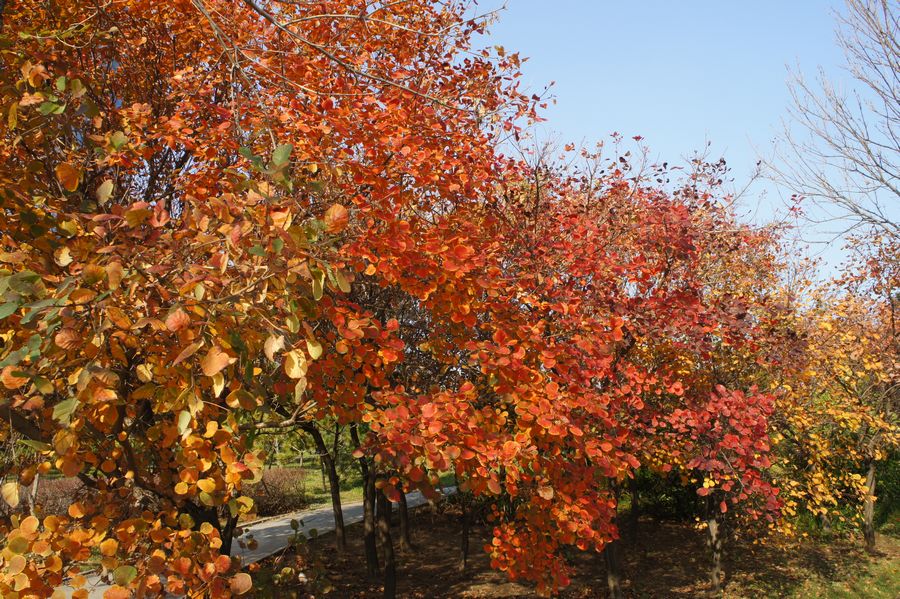 DSC03346.JPG