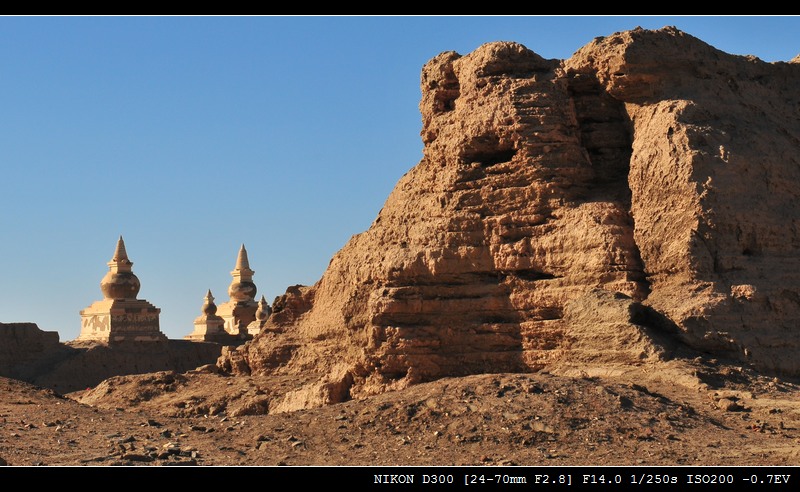 DSC_1291.jpg