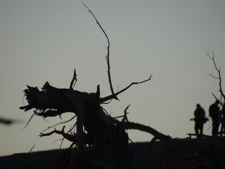DSC06521_副本.jpg