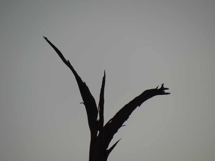 DSC06511_副本.jpg