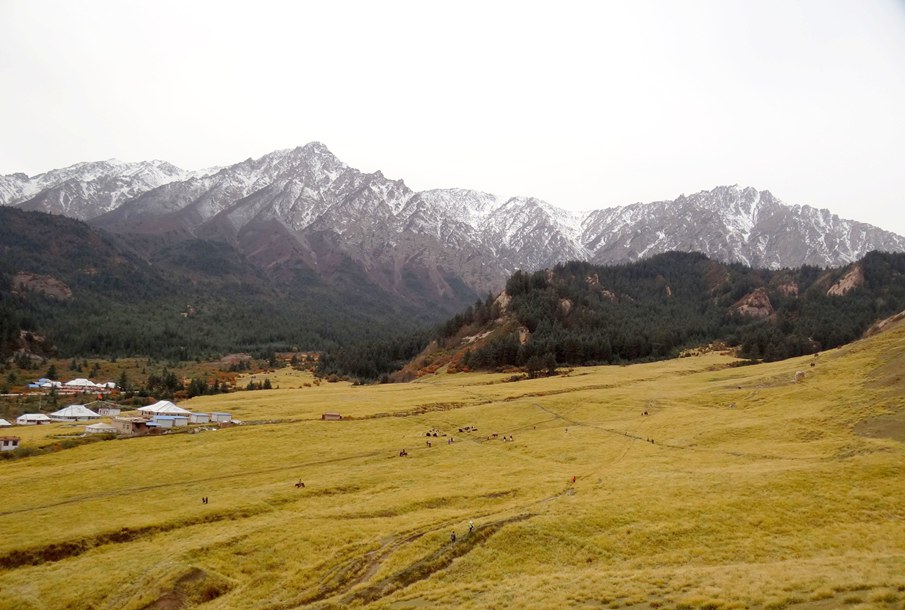 DSC05579_副本.jpg