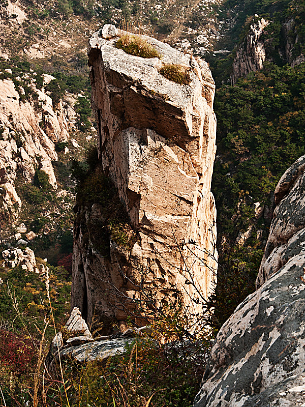 DSC_4683--.jpg