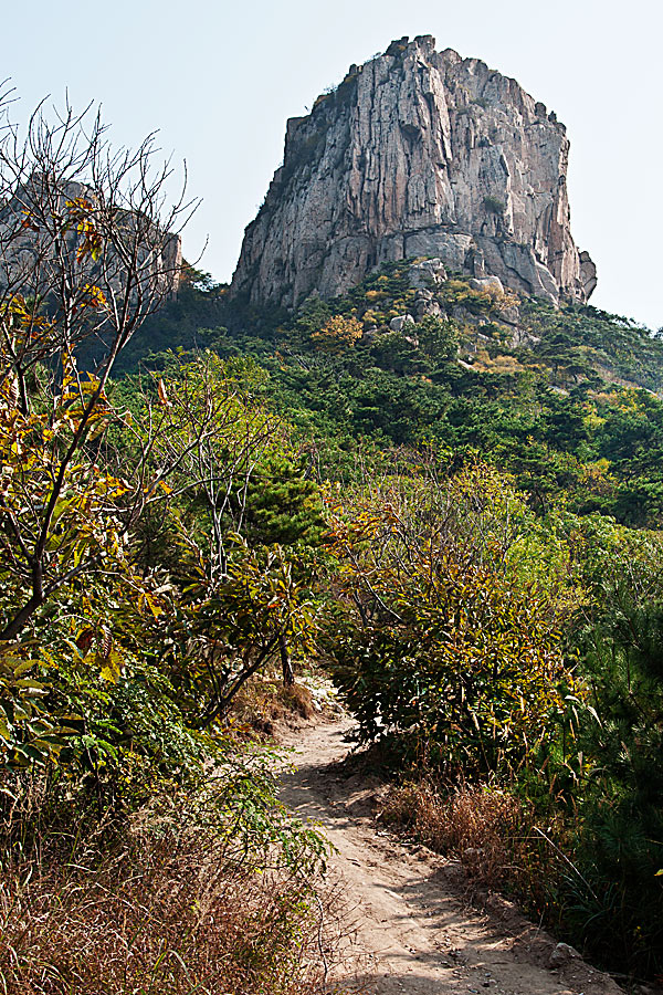 DSC_4709--.jpg