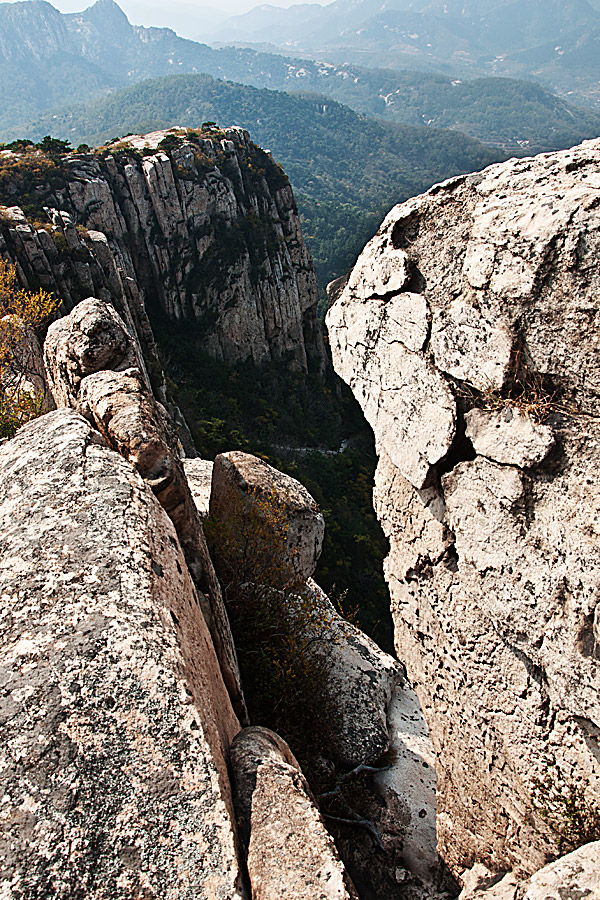 DSC_4703--.jpg