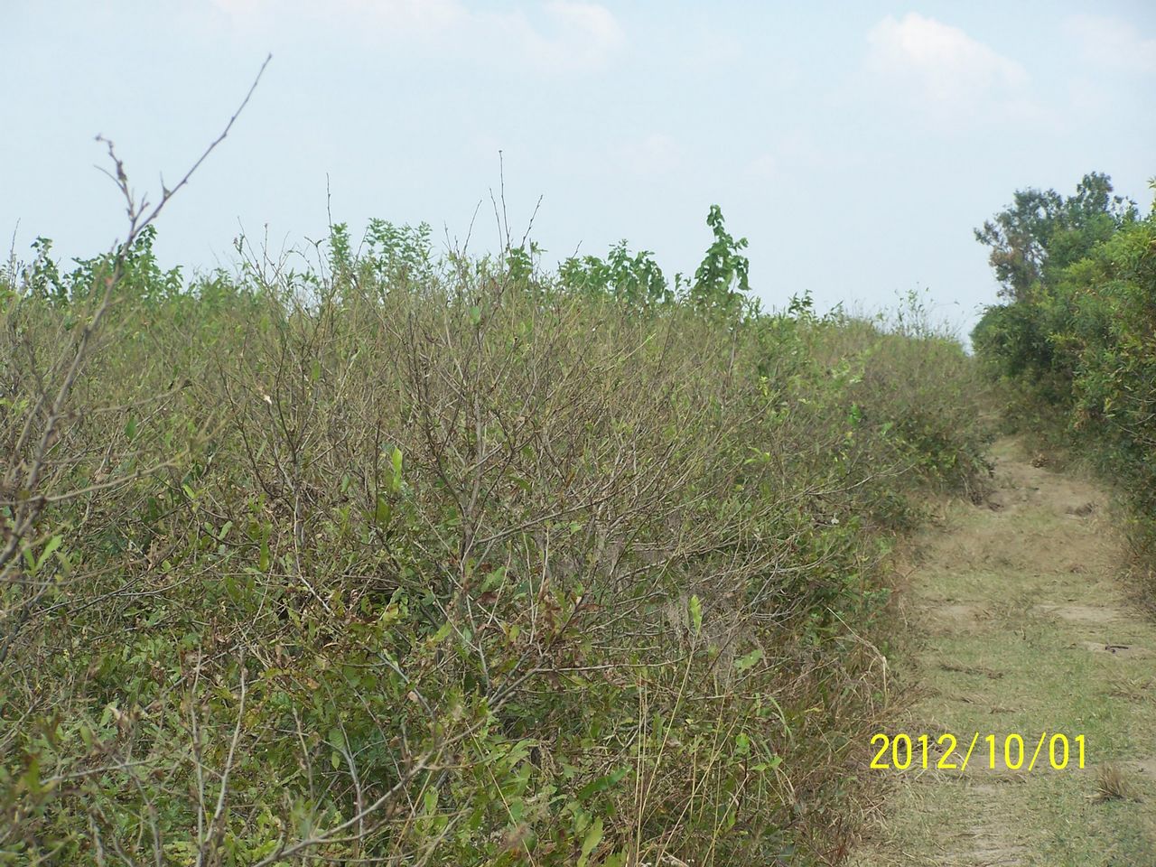 100_7587.jpg