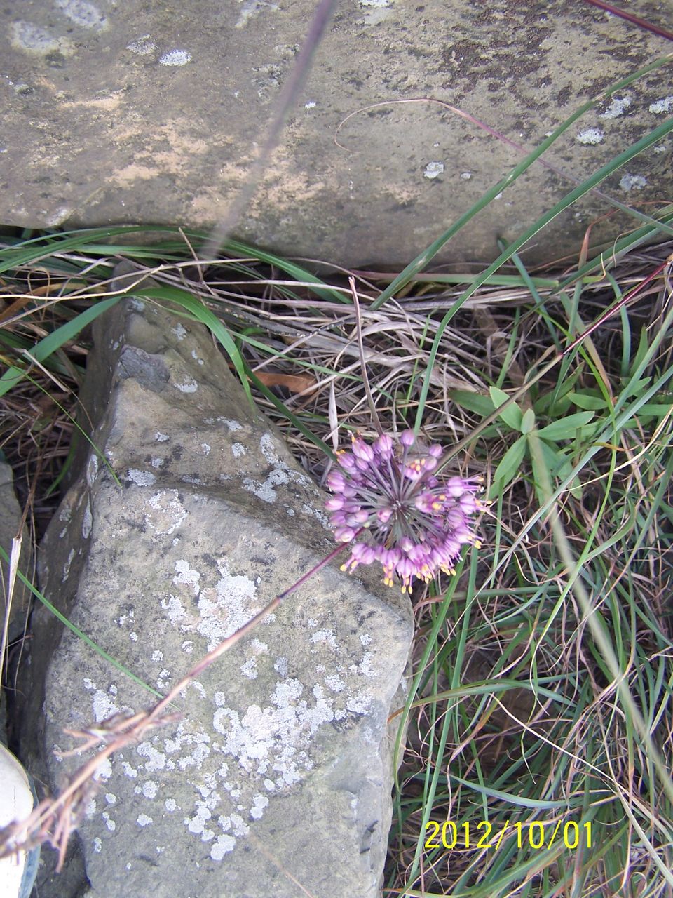 100_7595.jpg