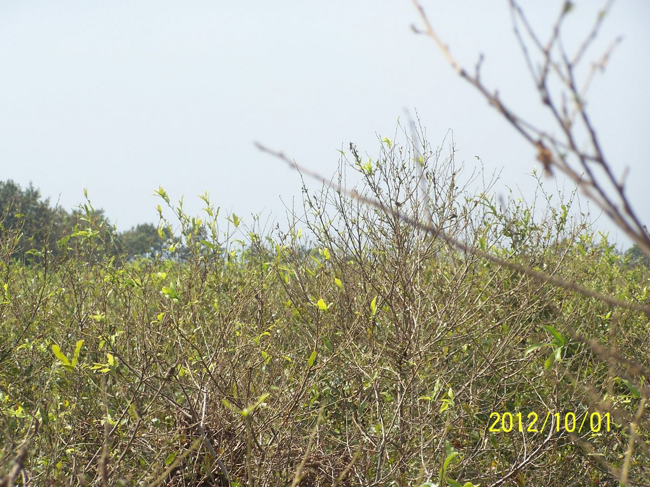100_7585.jpg