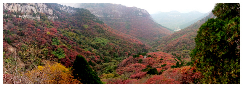 20121021_160855.jpg