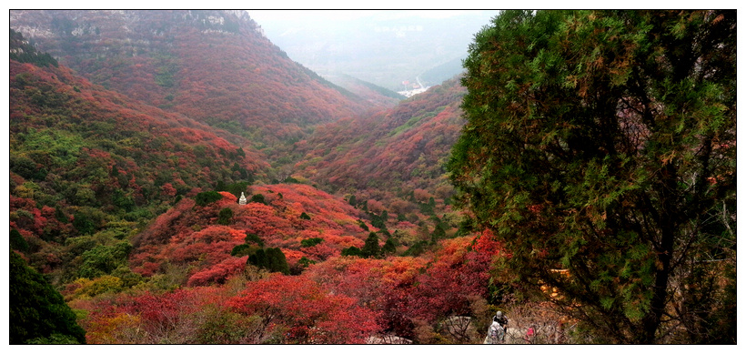 20121021_160834.jpg