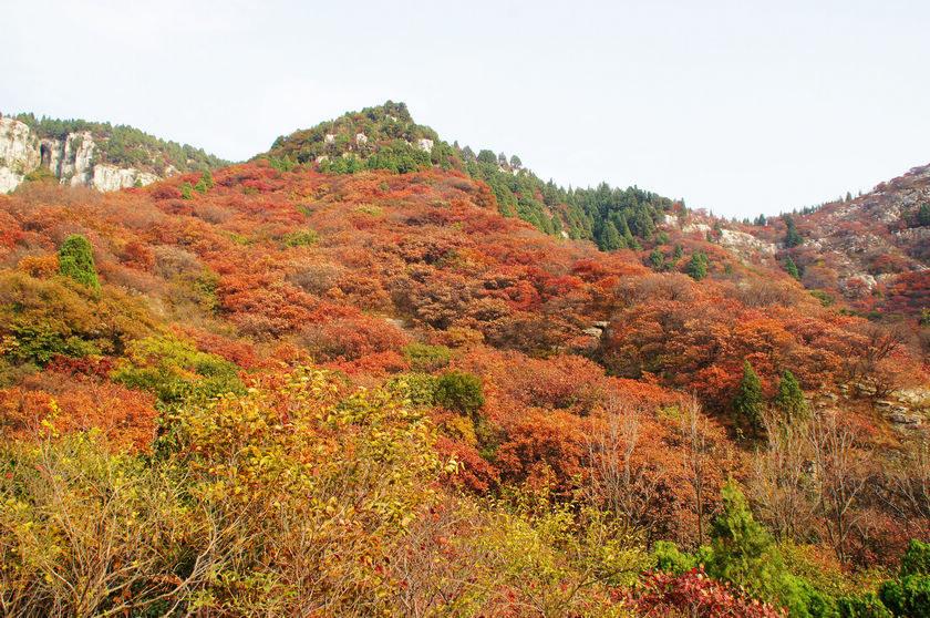 DSC03702.JPG
