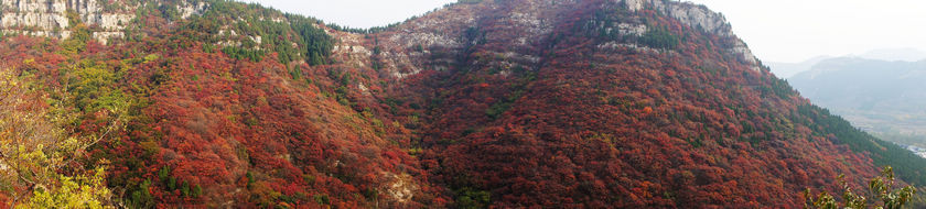 DSC03718.JPG