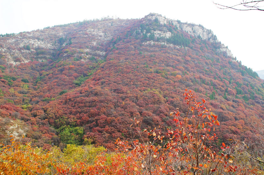 DSC03709.JPG