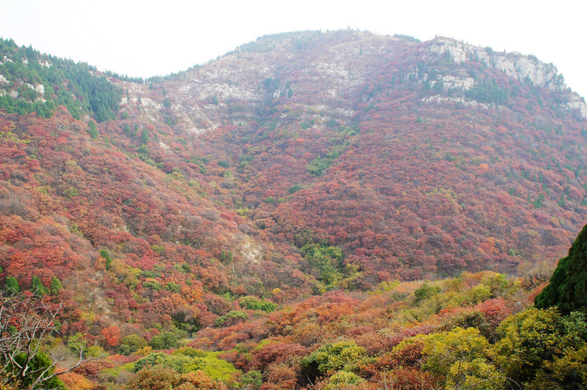 DSC03738.JPG