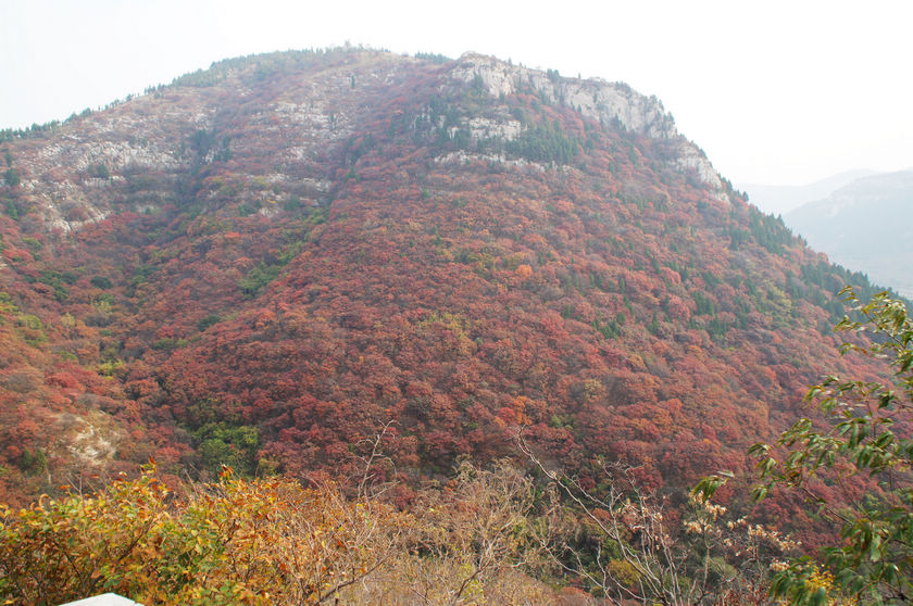 DSC03728.JPG