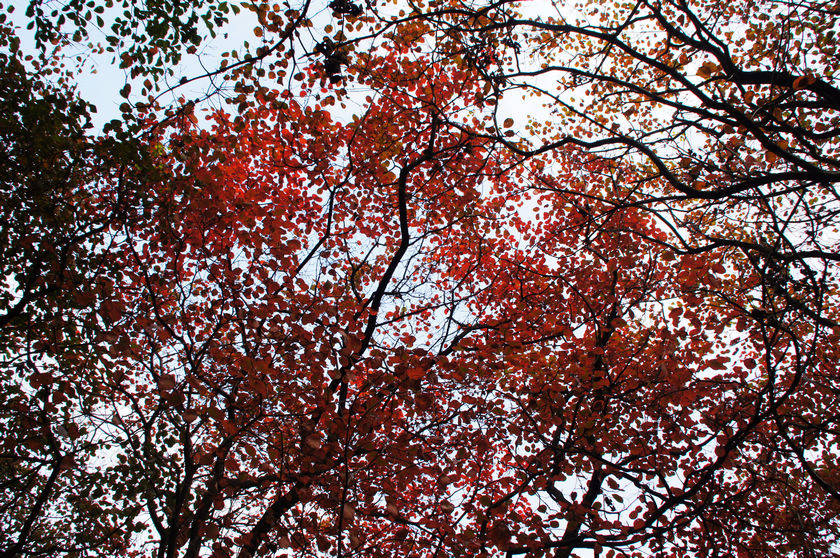 DSC03752.JPG