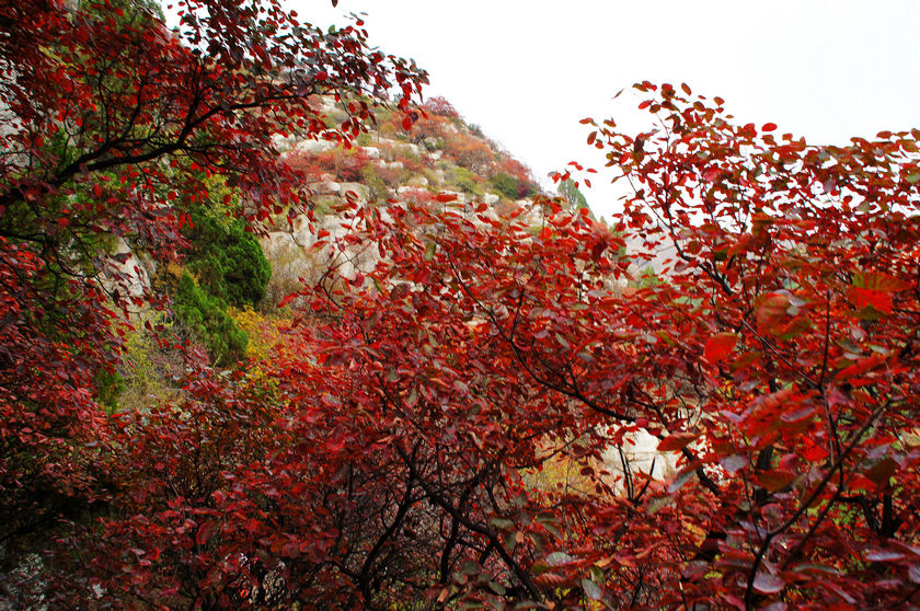 DSC03747.JPG