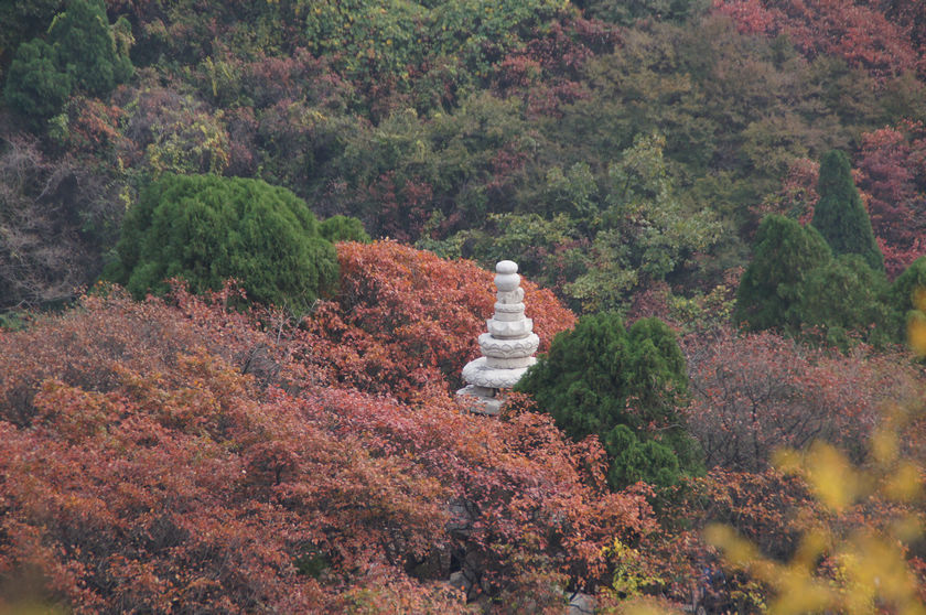 DSC03759.JPG