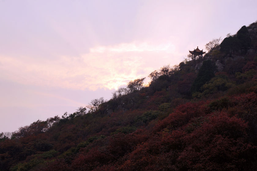 DSC03906.JPG