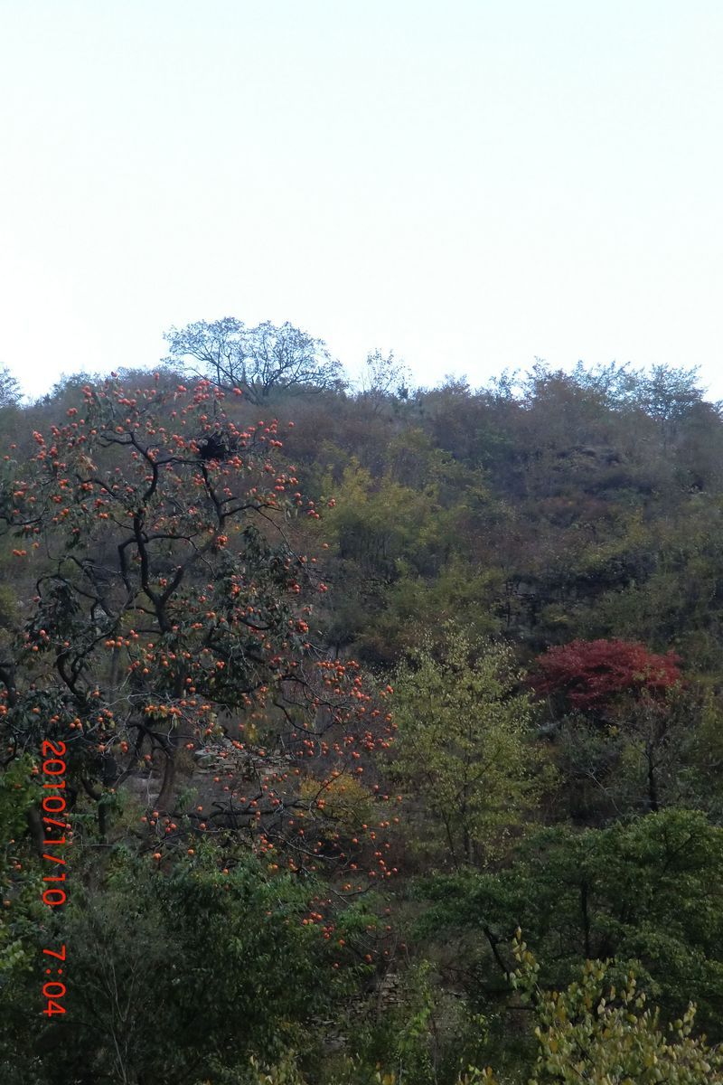 CIMG7719.JPG