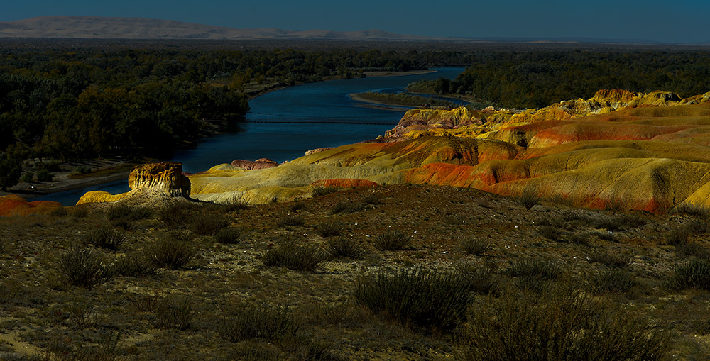 DSC_4322-1.jpg