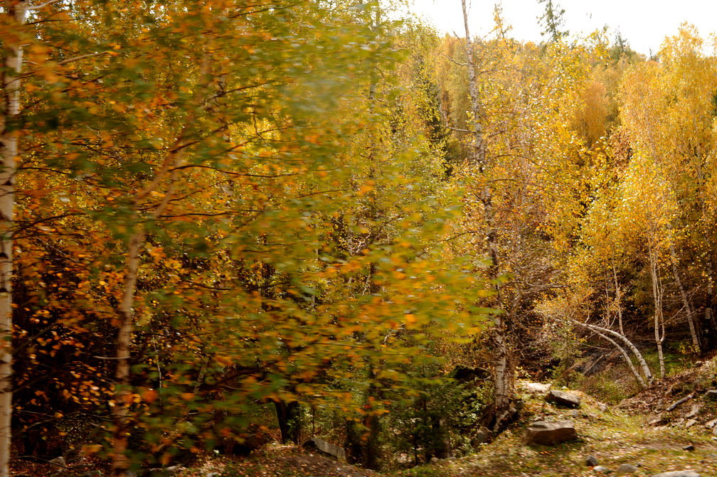 12_0910000.jpg