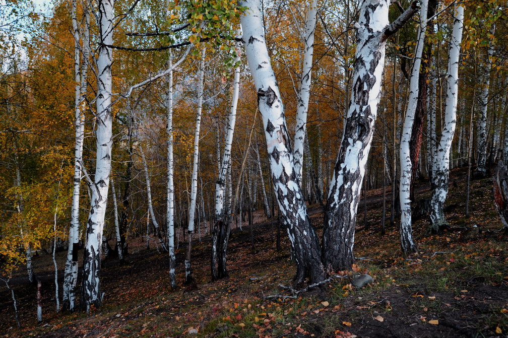 12_0910014.jpg