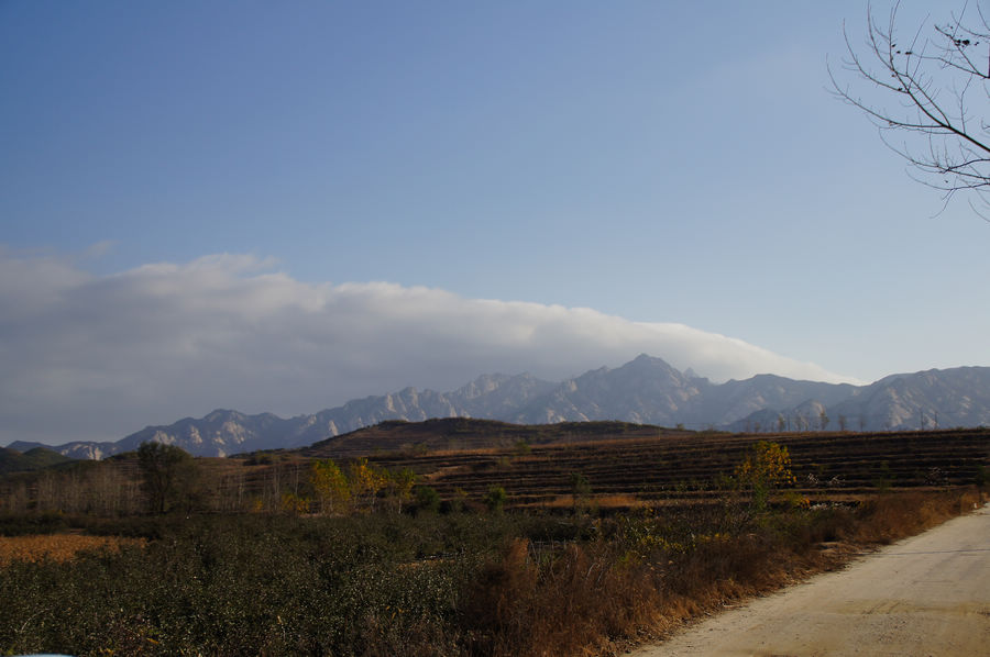 DSC03930.jpg