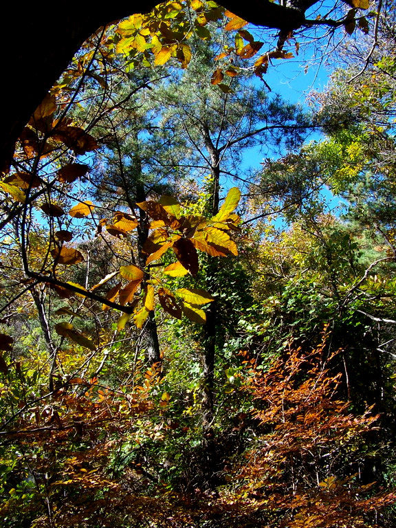122_5907_缩小大小.JPG