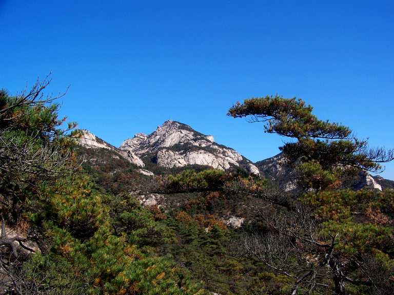 122_5908_缩小大小.JPG