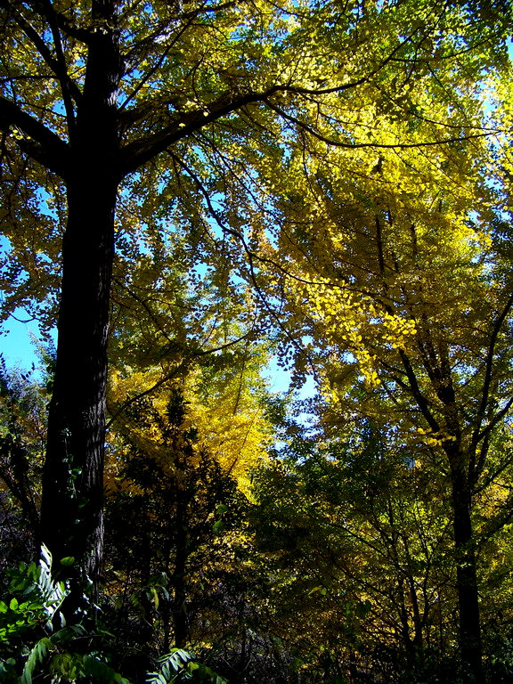 122_5938_缩小大小.JPG