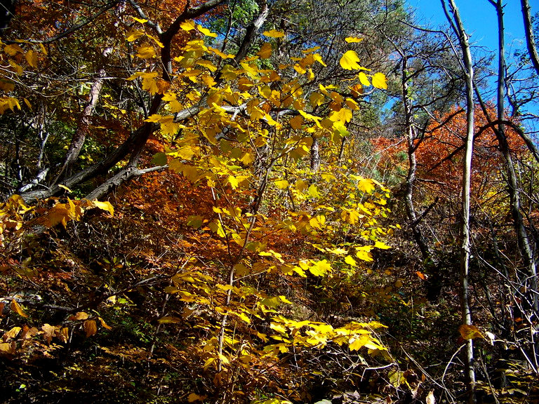 122_5947_缩小大小.JPG