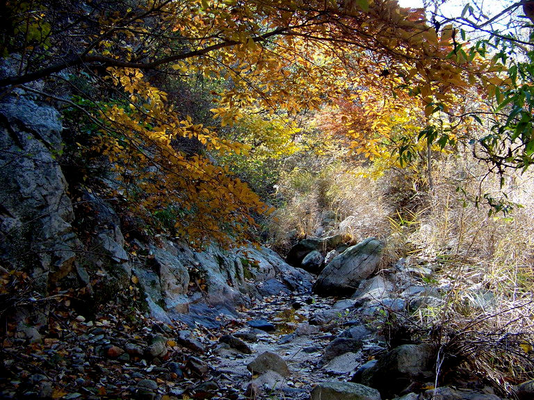 122_5946_缩小大小.JPG