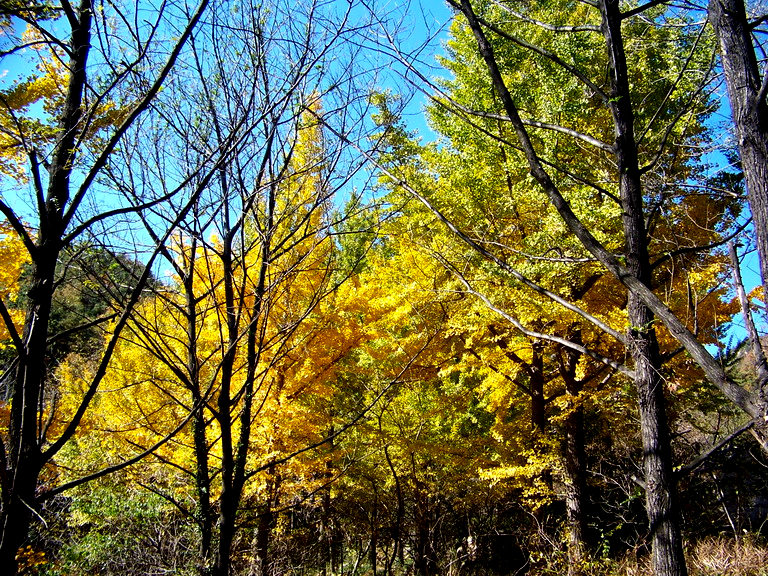 122_5943_缩小大小.JPG