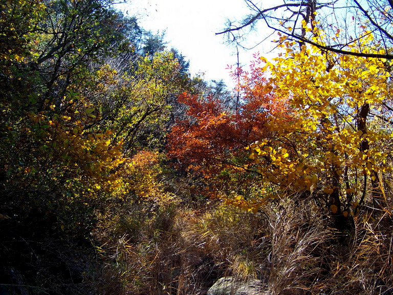 122_5945_缩小大小.JPG