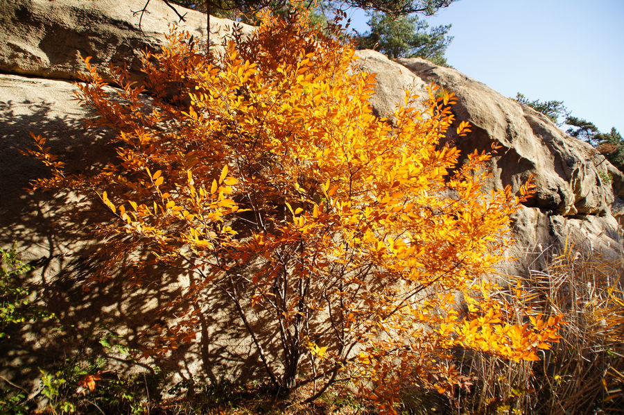 DSC03978.jpg