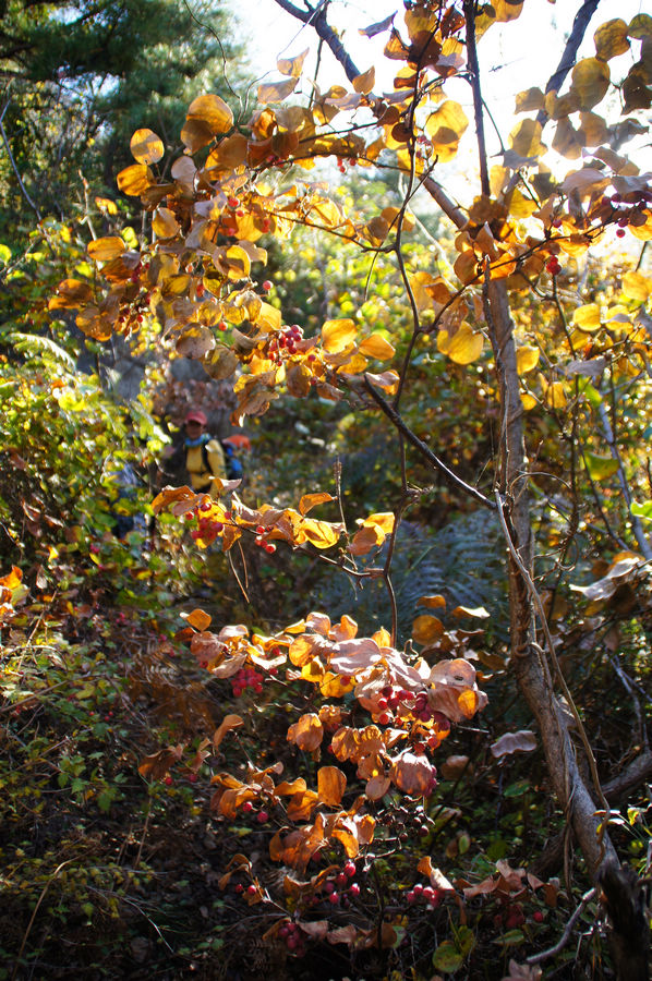 DSC04018.jpg