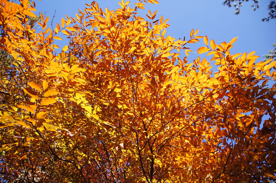 DSC04103.jpg