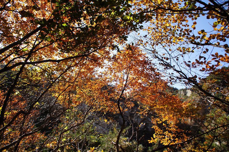 DSC04108.jpg