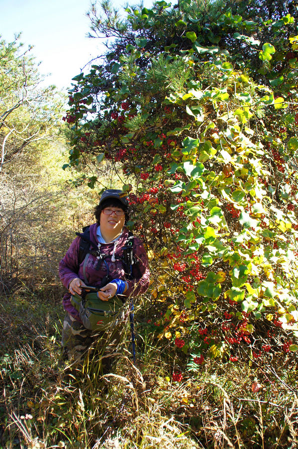 DSC04177.jpg