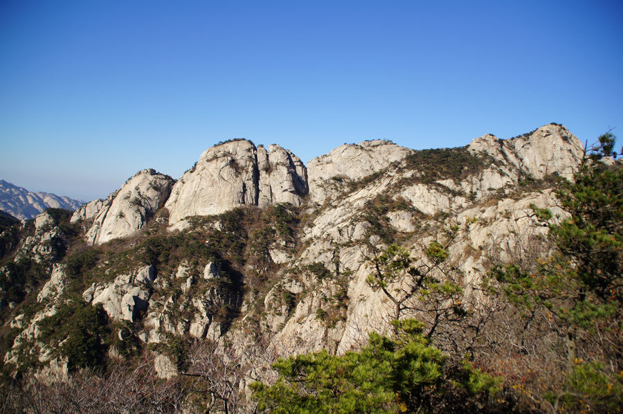 DSC04231.jpg